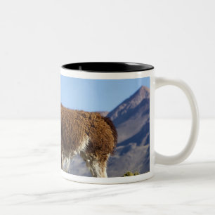 Taza Bicolor Manada de llamas decoradas en la Puna, cordillera 
