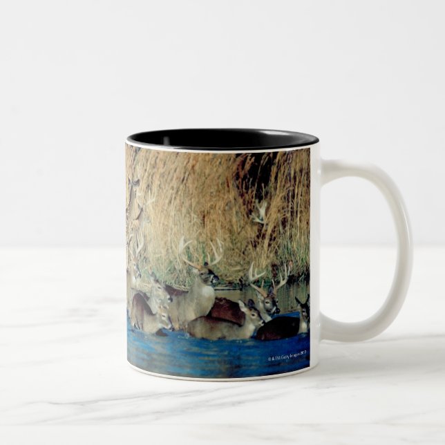 Taza Bicolor Manada de los ciervos 2 (Derecha)