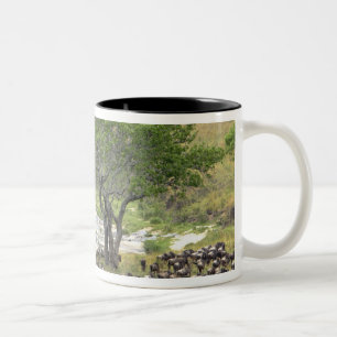 Taza Bicolor Manada masiva de ñus durante la migración,