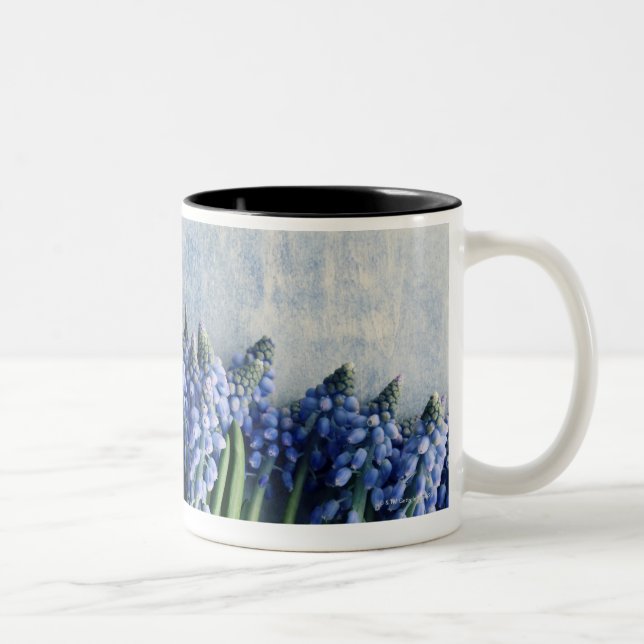 Taza Bicolor Manojo del jacinto (Derecha)