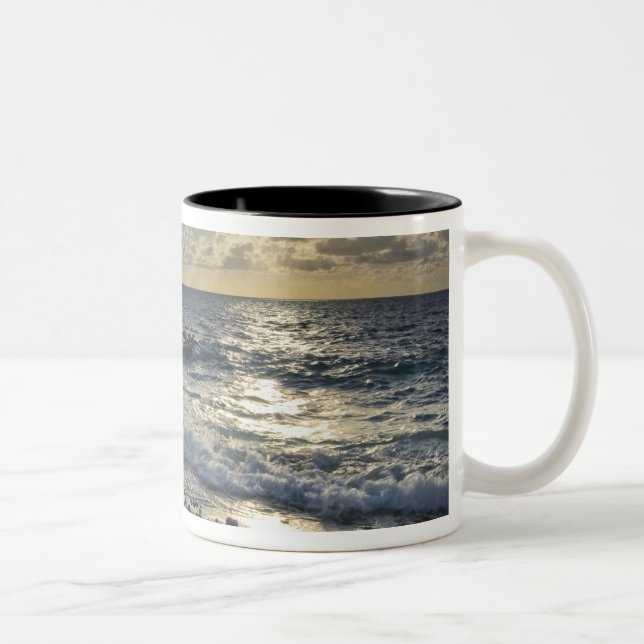 Taza Bicolor Mar Caribe, Islas Caimán.  Olas rompientes (Derecha)
