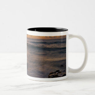 Taza Bicolor Mar Caribe, Islas Caimán. Olas rompientes 2