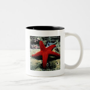 Taza Bicolor Mar Rojo de los pescados el de la estrella