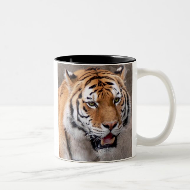 Taza Bicolor maravilla de ojos verdes (Derecha)