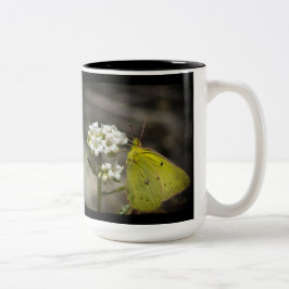 Taza Bicolor Mariposa amarilla