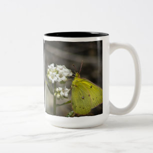 Taza Bicolor Mariposa amarilla