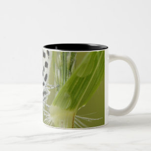 Taza Bicolor Mariposa blanca manchada que descansa sobre tronco
