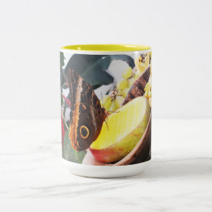 Taza Bicolor Mariposa de búho