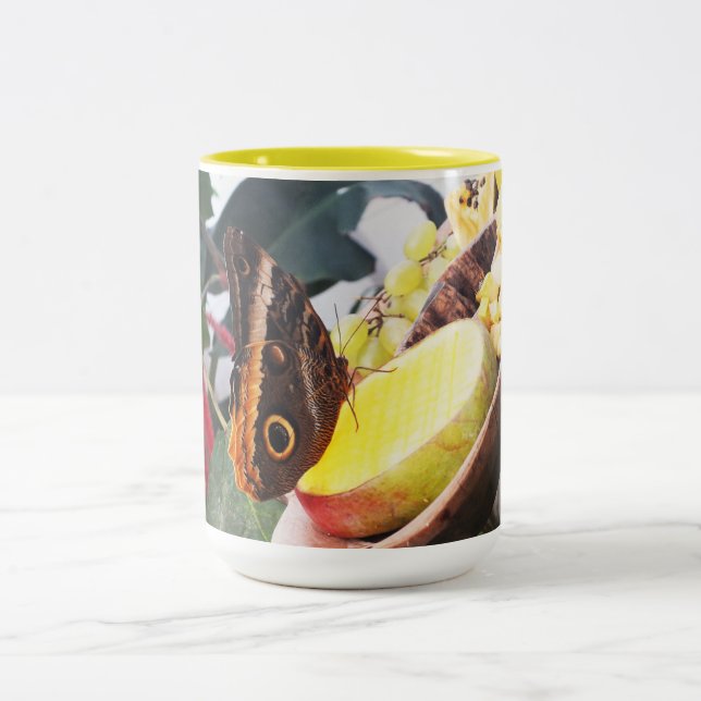Taza Bicolor Mariposa de búho (Centro)