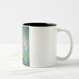 Taza Bicolor Mariposa de monarca