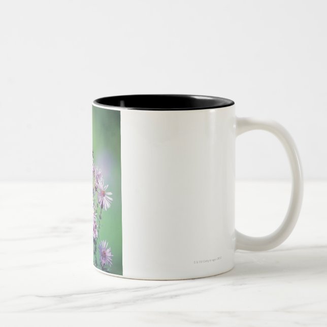 Taza Bicolor Mariposa de monarca (Derecha)