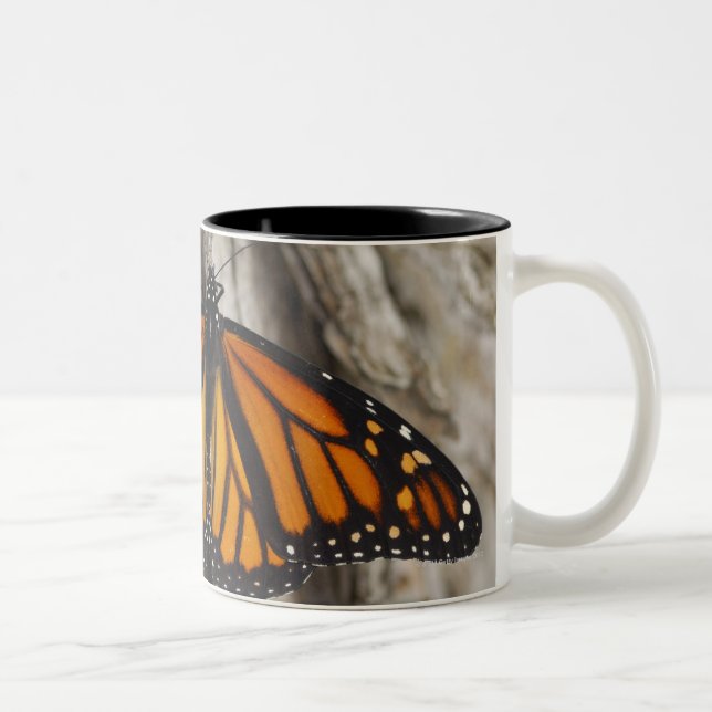 Taza Bicolor Mariposa de monarca (Derecha)