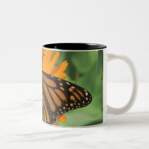 Taza Bicolor Mariposa de monarca (plexippus del Danaus) en el