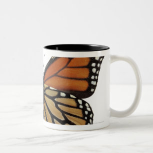 Taza Bicolor Mariposa del Danaus de Plexippus
