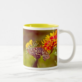 Taza Bicolor Mariposa y Gaillardia