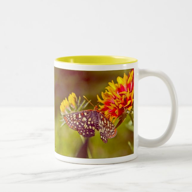Taza Bicolor Mariposa y Gaillardia (Derecha)