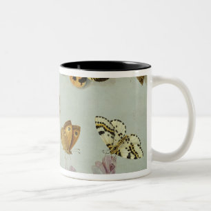 Taza Bicolor Mariposas, polillas y otros insectos
