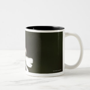 Taza Bicolor Mariquita en la flor de la manzanilla