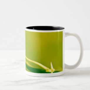 Taza Bicolor Mariquita en puntilla