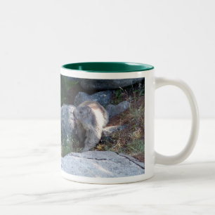 Taza Bicolor Marmota cuta — Mug suizo