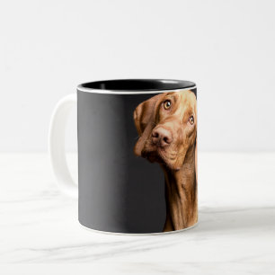 Taza Bicolor Mascota Brown Beagle Dog