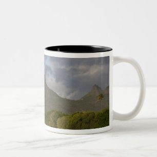 Taza Bicolor Mauricio, Mauricio Occidental, Tamarin, Montaña