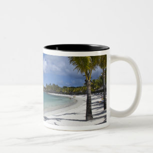 Taza Bicolor Mauricio, Mauricio Oriental, Trou d' Eau Douce,
