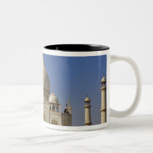 Taza Bicolor mausoleo del Taj Mahal / Agra, India