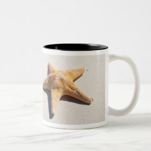 Taza Bicolor Maya de Riviera