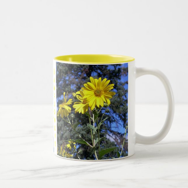 Taza Bicolor ME ENCANTA EL MUG SUNFLOWERS PICS x2 (Derecha)