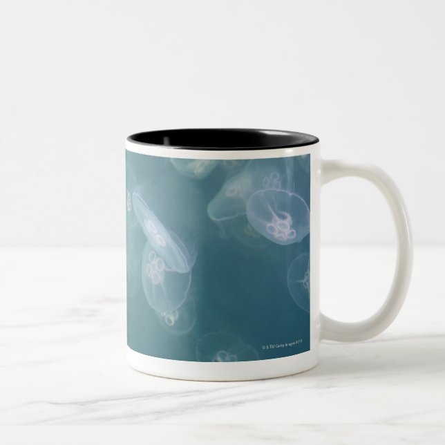 Taza Bicolor Medusas de la luna (Derecha)