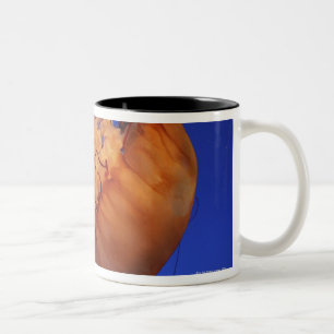 Taza Bicolor Medusas de la ortiga del mar