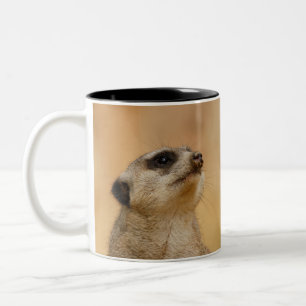 Taza Bicolor Meerkat 001 de JAMFoto