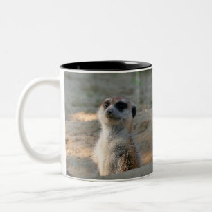 Taza Bicolor Meerkat 004