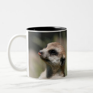 Taza Bicolor Meerkat 014