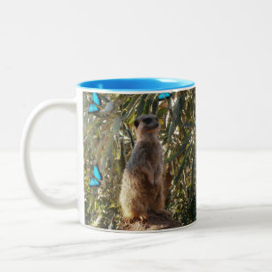 Taza Bicolor Meerkat Y Mariposas Azules,