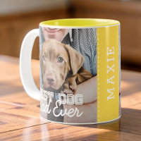 Mejor Papá Perro del Mundo Moderno Personalizado c