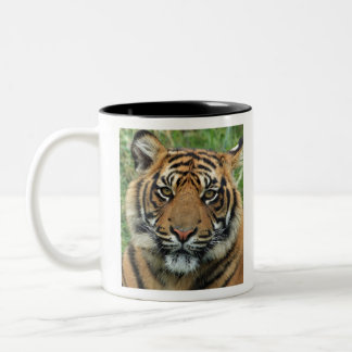 Taza Bicolor Mejor tigre