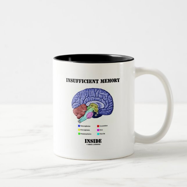 Taza Bicolor Memoria interna insuficiente (cerebro anatómico) (Derecha)