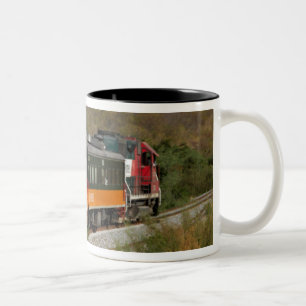 Taza Bicolor México, Chihuahua, Cañón de Cobre. Vistas desde