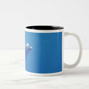 Taza Bicolor México, Cozumel. Delfín de nariz de botella