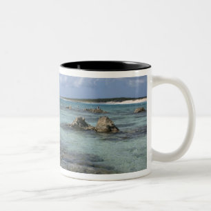 Taza Bicolor México, Cozumel, Punta Morena, la costa este 2
