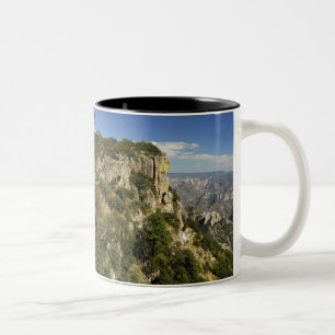 Taza Bicolor México, Estado de Chihuahua, Copper Canyon. ESTO