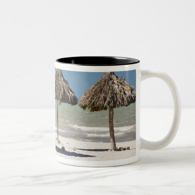 Taza Bicolor México, Península de Yucatán, Progreso. Paja (Derecha)
