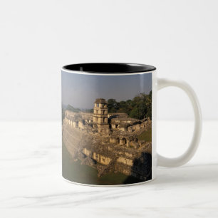 Taza Bicolor México, provincia de Chiapas, Palenque, El Palacio