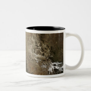 Taza Bicolor México septentrional