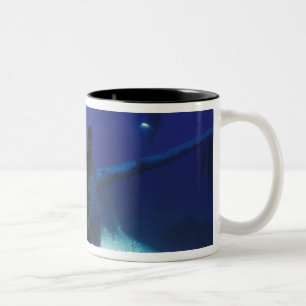 Taza Bicolor Micronesia, Palau, Patrimonio de la Humanidad. Buz
