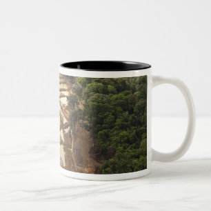 Taza Bicolor Minería de oro aluvial. Selva tropical, Guyana.