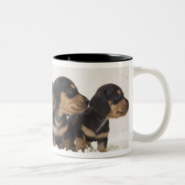 Taza Bicolor Mini Dachshund cuatro (Derecha)