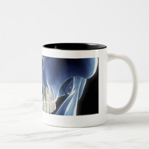 Taza Bicolor Mirada del estilo de la radiografía en los diente